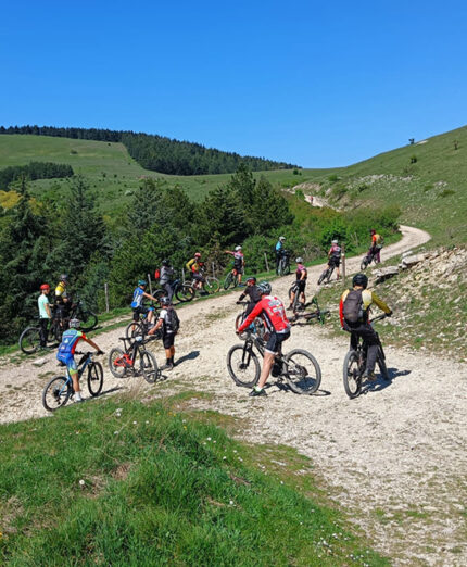 La Capitanata sta diventando sempre più terra di bici, ma non tutti sono d'accordo