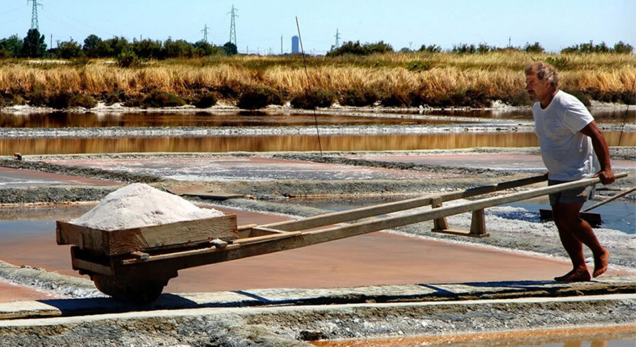 Già nel VI secolo a.C. la salina del Delta era uno snodo commerciale importante per la produzione del sale