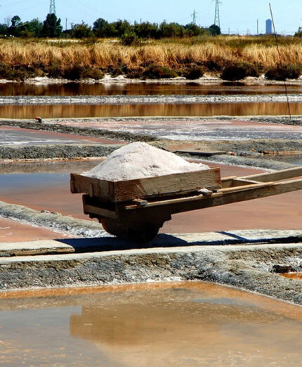 Già nel VI secolo a.C. la salina del Delta era uno snodo commerciale importante per la produzione del sale