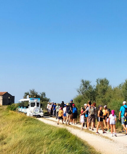 La salina di Comacchio è visitabile con guide specializzate, anche con il caratteristico trenino