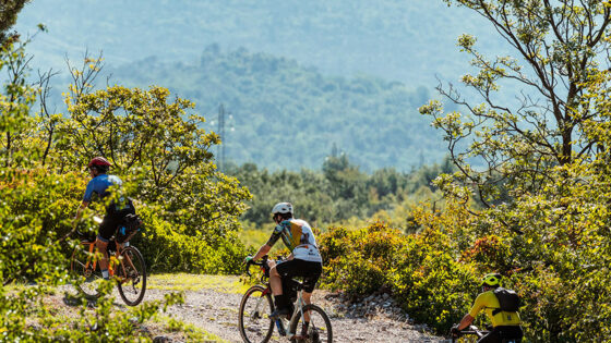 L’FVG Bike Trail si sdoppia, per dare spazio anche agli stradisti