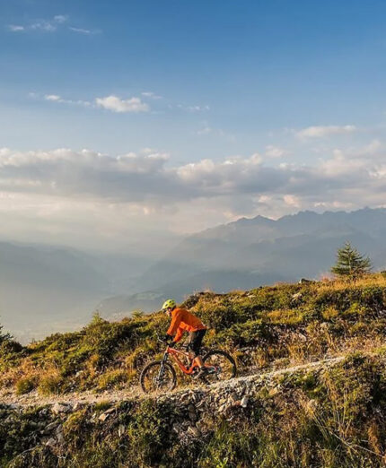 Il Kronplatz Bike Park offre una vasta gamma di percorsi, sia per freeride che per escursioni