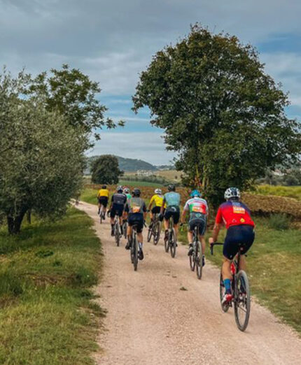 La Gialla concluderà le giornate d'incontri ed eventi dell'IBF. Ampia scelta sia per bici da strada che per gravel
