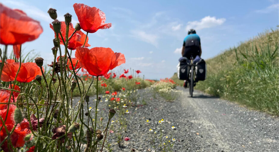 Viaggio nel Medioevo, strada sterrata