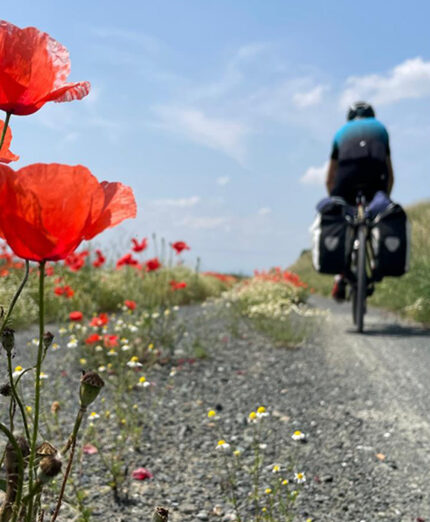 Viaggio nel Medioevo, strada sterrata