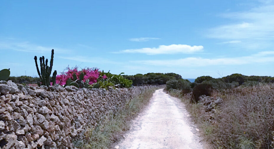 Favignana