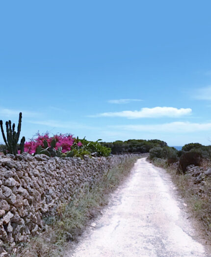 Favignana