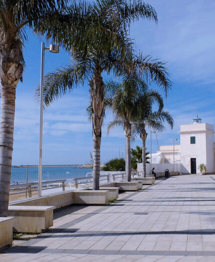 Martin Marcellusi, Ragusa