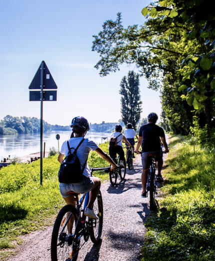 Il Po' è il protagonista di tutti questi viaggi in bici nei dintorni di Brescello (foto Visit Emilia)