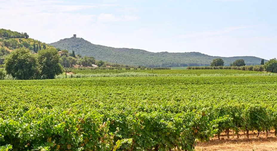 C’è un momento in cui la Toscana cambia veste: l’aria si fa dolce, i colli si accendono di un verde brillante e i giardini tornano a fiorire...