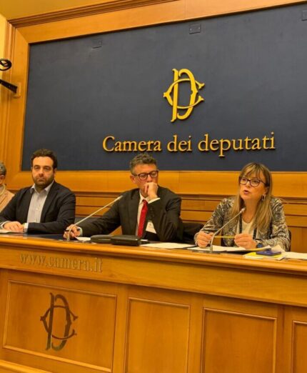 Codice della Strada, Andrea Colombo, Camera dei Deputati