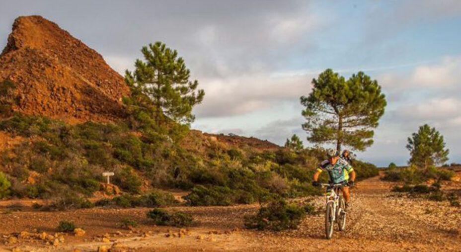 I tracciati del Bike Park sono molto diversi fra loro e in grado di accontentare ogni biker (foto Ridi)