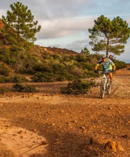 I tracciati del Bike Park sono molto diversi fra loro e in grado di accontentare ogni biker (foto Ridi)
