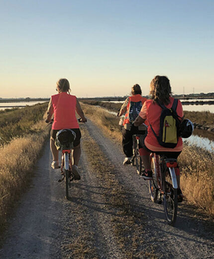 Cervia è un luogo fatto su misura per la bici, sia in città che nei dintorni. Il mezzo ideale per scoprirla