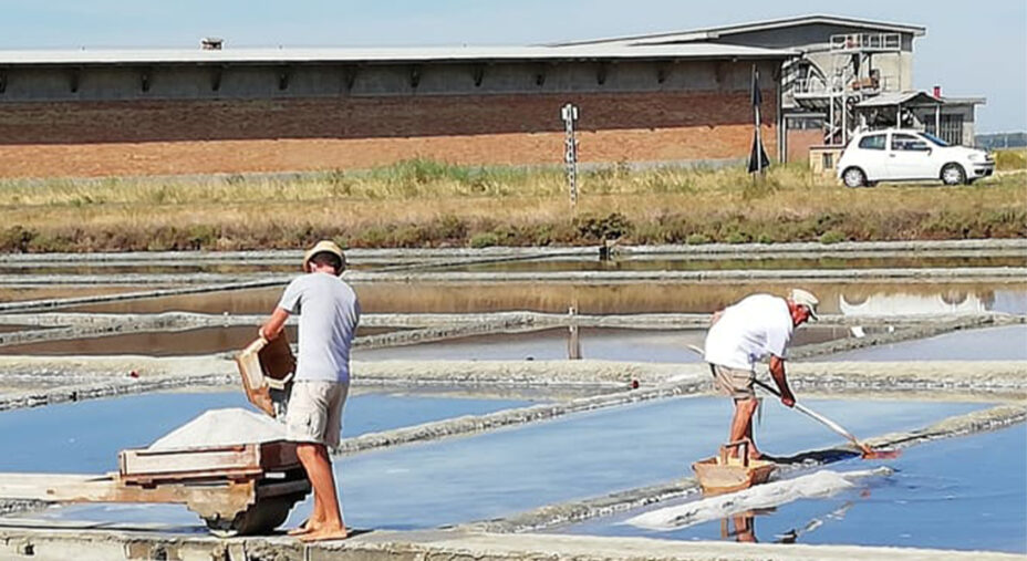 La Salina Camillone è l'unica a Cervia a produzione artigianale e il suo sale ha un sapore unico
