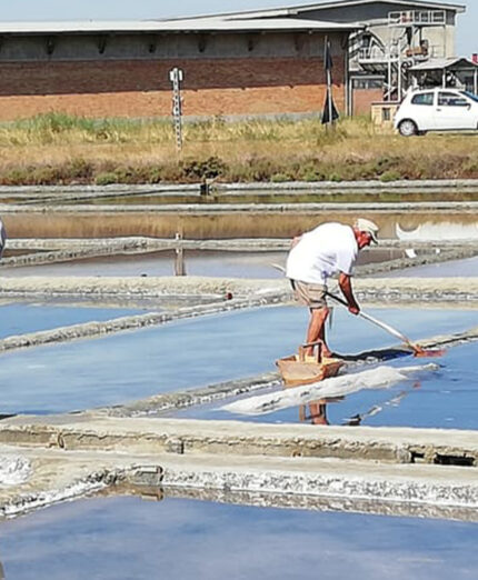 La Salina Camillone è l'unica a Cervia a produzione artigianale e il suo sale ha un sapore unico