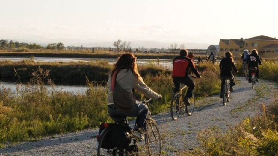 Viaggio nelle saline 2 / Cervia, escursione nella storia e nei colori