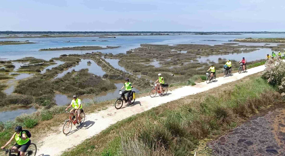 Il viaggio di Deltaciclando viver momenti spettacolari nel passaggio da Piallassa Baiona