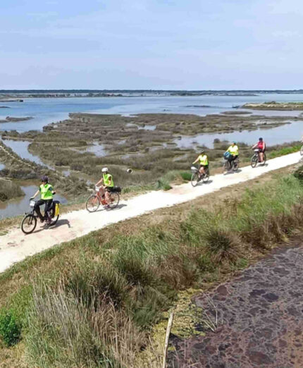 Il viaggio di Deltaciclando viver momenti spettacolari nel passaggio da Piallassa Baiona