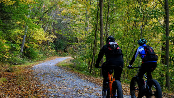 Dagli USA alla Germania, altre 5 ferrovie in bici che appassionano