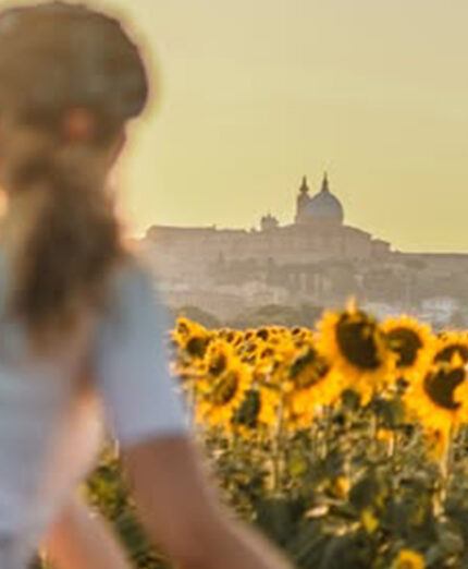 Il viaggio nelle Marche propone sempre un mix di cultura e natura. I pacchetti partono da 48 euro a notte