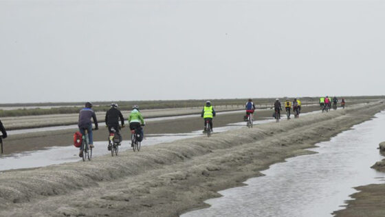 Viaggio nelle saline 3 / Le più grandi, il regalo della Puglia al mondo