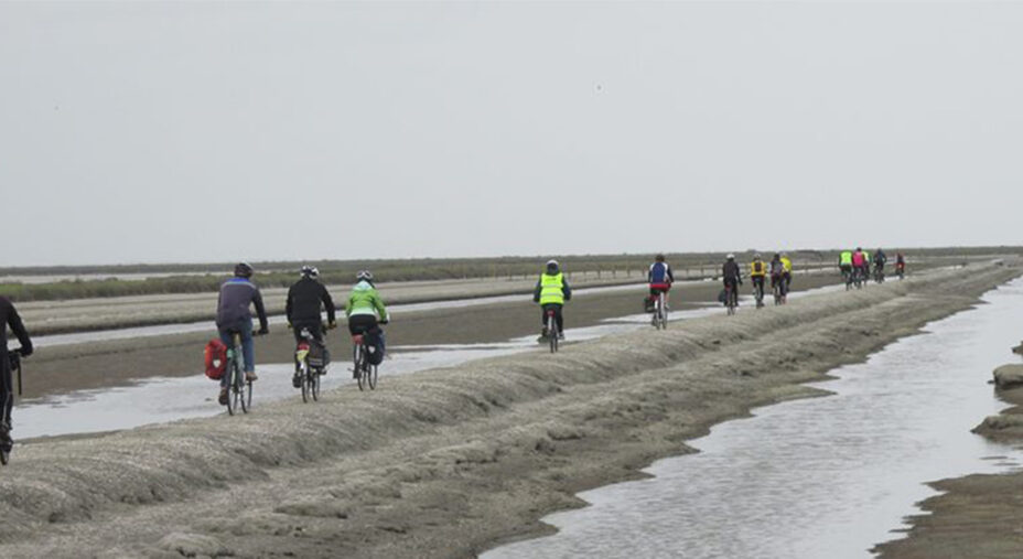 Viaggio nelle saline 3 / Le più grandi, il regalo della Puglia al mondo