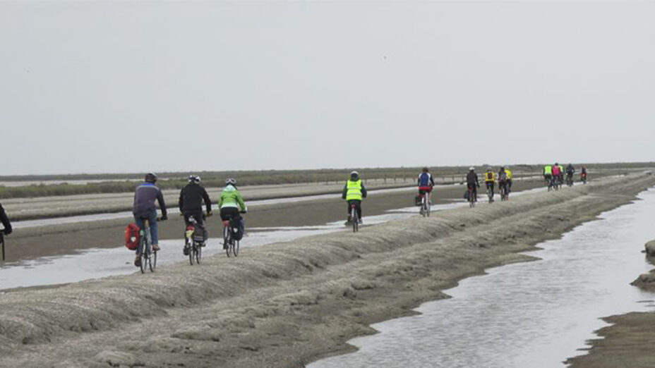 Viaggio nelle saline 3 / Le più grandi, il regalo della Puglia al mondo