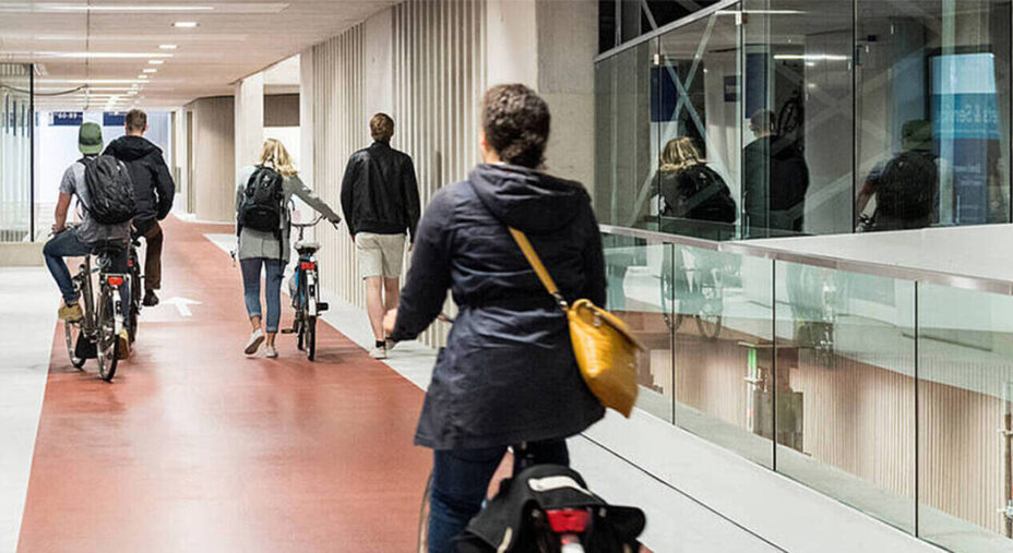 Il percorso interno, rigorosamente a senso unico per raggiungere una delle tante aree di deposito bici