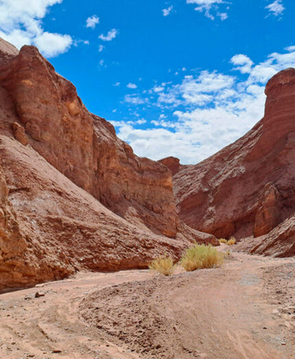 Ultime pedalate del giorno verso San Pedro de Atacama, ancora una volta dei colori spettacolari