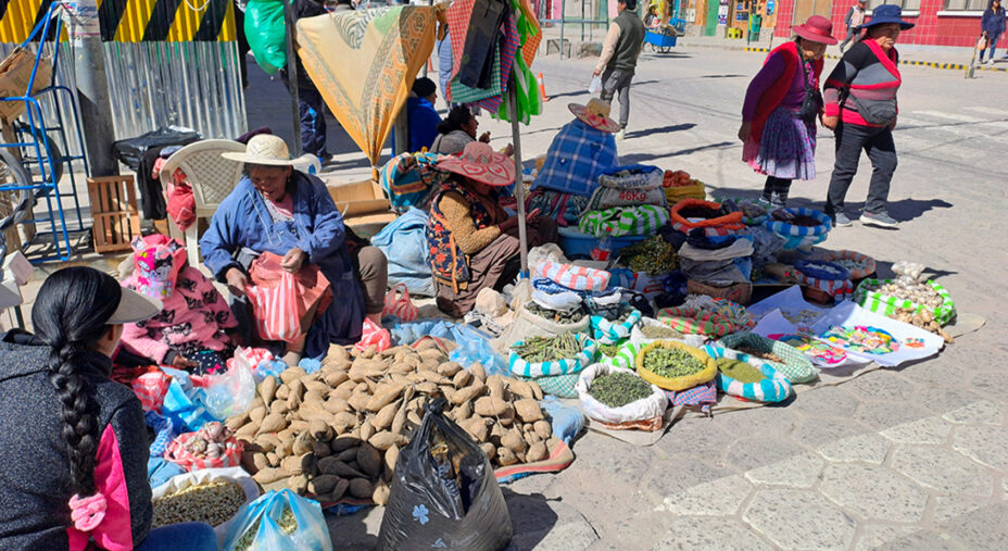 Nel centro di Uyuni si susseguono le bancarelle più disparate, che vendono frutta oppure oggetti artigianali