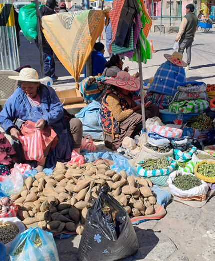 Nel centro di Uyuni si susseguono le bancarelle più disparate, che vendono frutta oppure oggetti artigianali