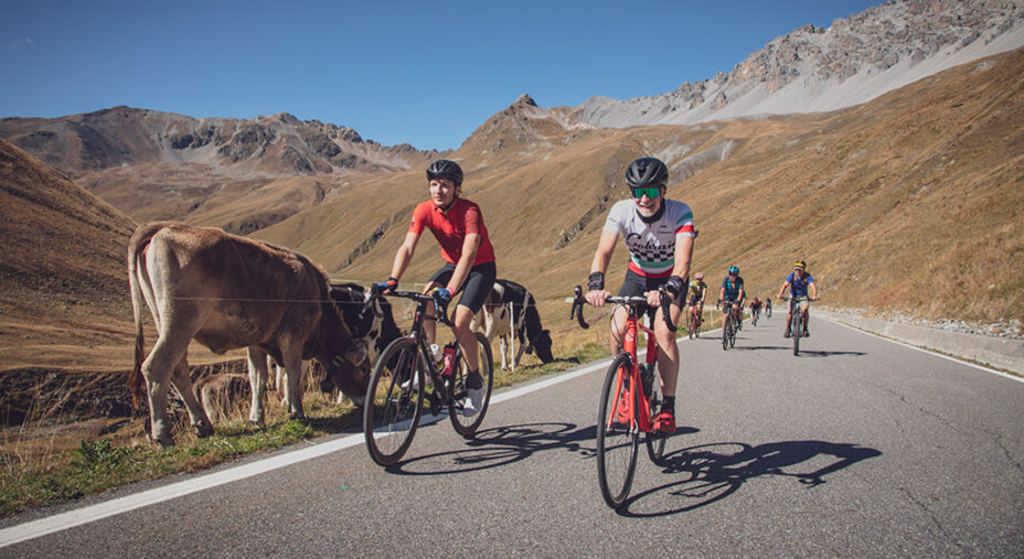 La montagna in alta quota ha colori, temperature e incontri da cartolina (foto Enjoy Stelvio Valtellina)
