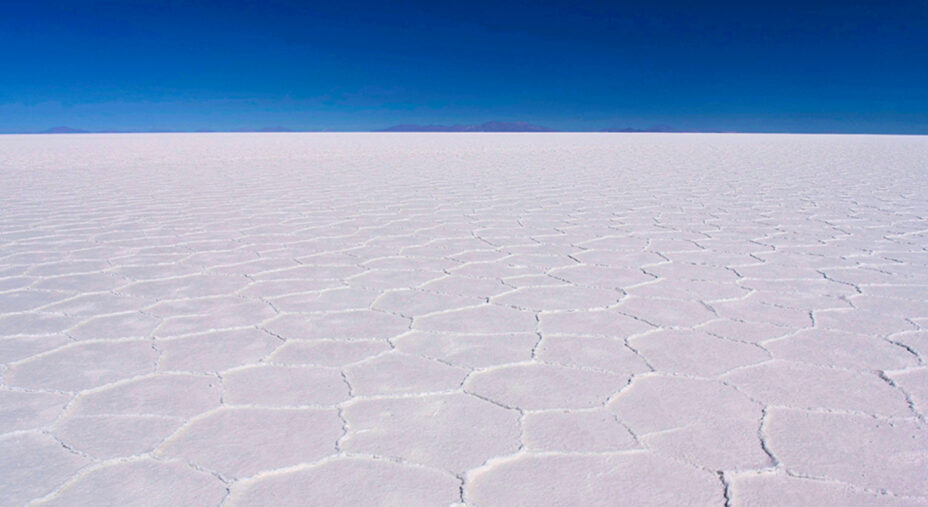 Il Salar si è formato infatti a causa dell'evaporazione di enormi laghi preistorici