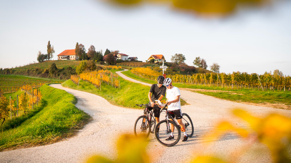 Il cicloturismo è da anni un vero prodotto turistico su cui il Paese ha scelto di investire in modo concreto (foto Ente Turismo Slovenia in Italia)