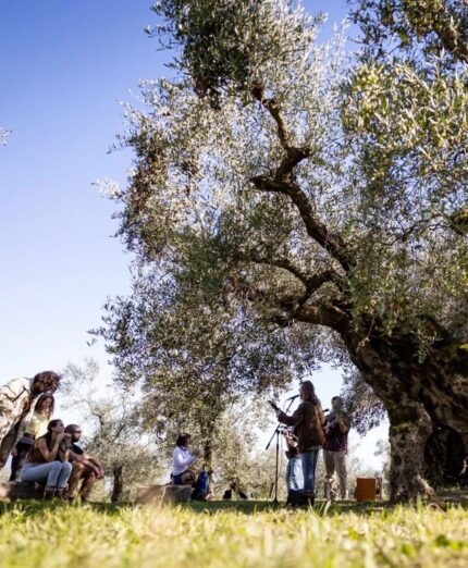 La Grande Pedalata, Umbria, Frantoi Aperti, Spoleto, olio, oleoturismo