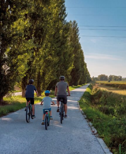 Ciclovia del Sole da Verona a Salionze (Valeggio sul Mincio), Veneto Strade