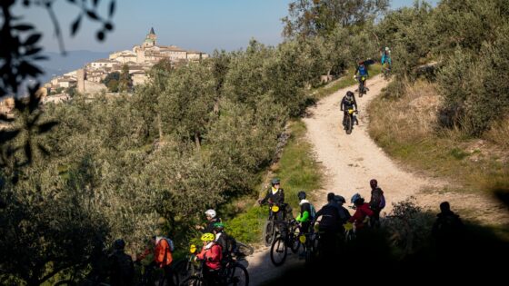 La Grande Pedalata, Umbria, Frantoi Aperti, Spoleto, olio, oleoturismo