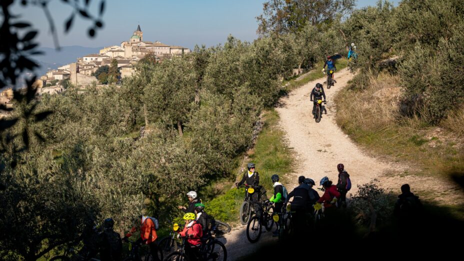 La Grande Pedalata, Umbria, Frantoi Aperti, Spoleto, olio, oleoturismo