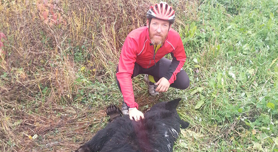 Dal Canada all’Alaska, il viaggio di Alberto e Fausto, orso