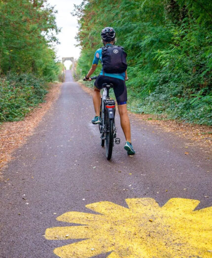Il tratto emiliano della Ciclovia del Sole è un viaggio nel suo patrimonio enogastronomico