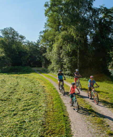 La Ciclabile della Drava è ideale per scoprire il fascino del pedalare nel foliage d'autunno