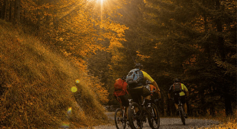 Pedalare all'interno dei boschi è l'essenza stessa del foliage, potendo percepire le mille sfumature cromatiche