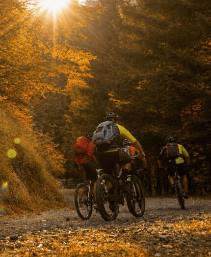 Pedalare all'interno dei boschi è l'essenza stessa del foliage, potendo percepire le mille sfumature cromatiche