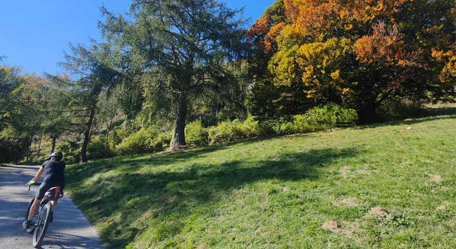 Non sono solamente i colori a caratterizzare il foliage. E' un'esaltazione dei cinque sensi