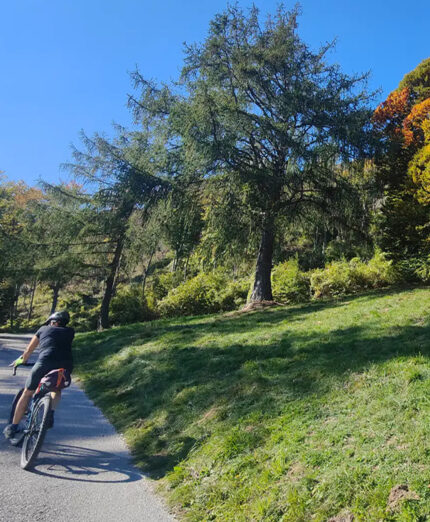 Non sono solamente i colori a caratterizzare il foliage. E' un'esaltazione dei cinque sensi