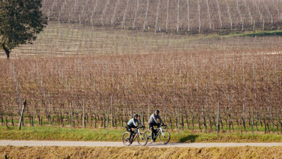 Novembre in gravel: chi ha detto che deve andare in soffitta?