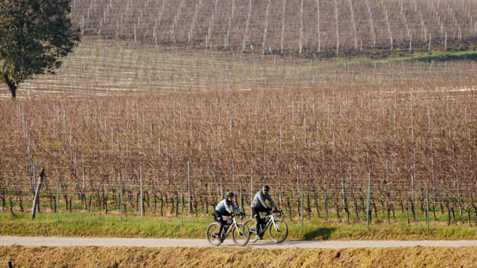 Novembre in gravel: chi ha detto che deve andare in soffitta?