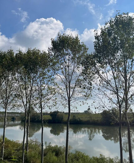 I due percorsi di Ostricando sono uno specchio fedele della bellezza del Delta del Po veneto