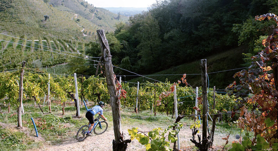 Marca Bianca, gravel